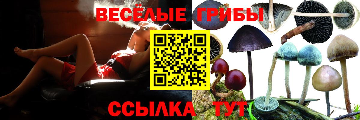 Псилоцибиновые грибы Psilocybine cubensis  Галлюциногенные грибы Magic Shrooms  Комсомольск-на-Амуре  Вход с VPN 